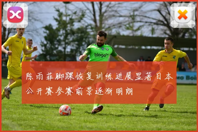陈雨菲脚踝恢复训练进展显著日本公开赛参赛前景逐渐明朗